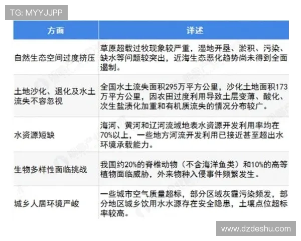 广州足球队的速度优势与战术应用深度分析与探讨